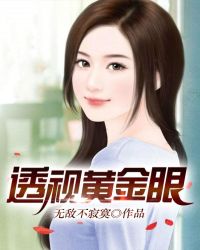 透视黄金眼章节列表