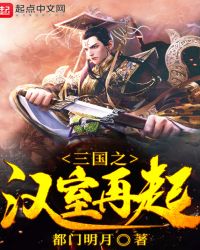 三国之汉室再起章节列表