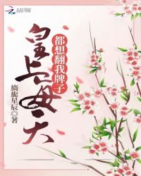 皇上每天都想翻我牌子章节列表
