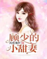 顾少的小甜妻章节列表