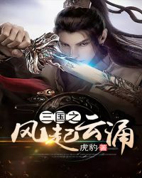 三国之风起云涌章节列表