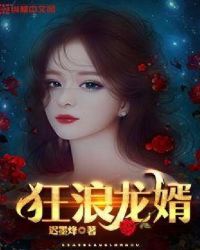 狂浪龙婿章节列表