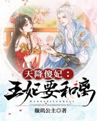 天降傻妃：王妃要和离章节列表
