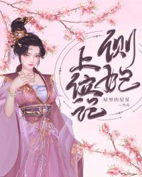 侧妃上位记章节列表