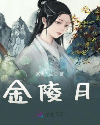金陵月章节列表