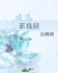 正良辰章节列表