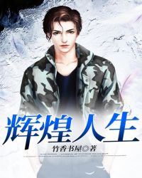 辉煌人生章节列表