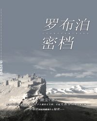 罗布泊密档章节列表