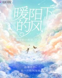 暖阳下的风章节列表