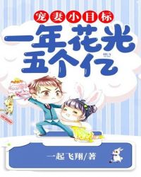 宠妻小目标：一年花光五个亿章节列表