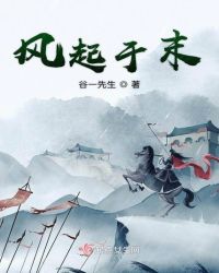 风起于末章节列表