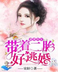 甜蜜报复带着二胎好逃婚章节列表