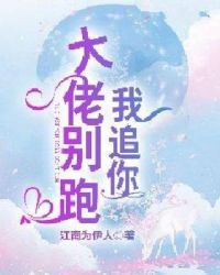 我追你，大佬别跑章节列表