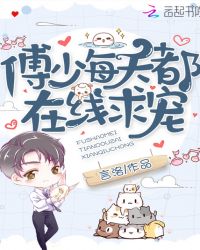 傅少每天都在线求宠章节列表