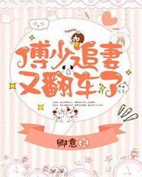 傅少追妻又翻车了章节列表