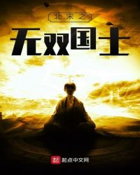 北宋之无双国士章节列表