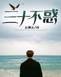 三十不惑章节列表