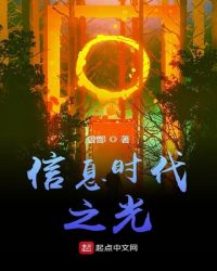 信息时代之光章节列表