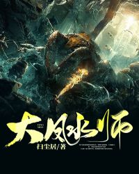 大风水师章节列表