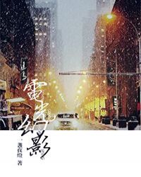 电光幻影[娱乐圈]章节列表