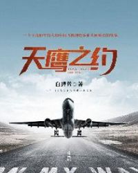 天鹰之约章节列表