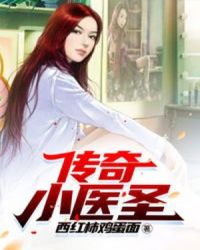 传奇小医圣章节列表