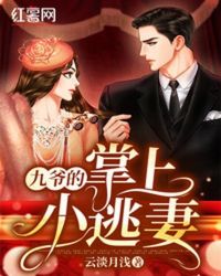 九爷的掌上小逃妻章节列表