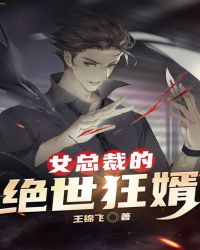 女总裁的绝世狂婿章节列表