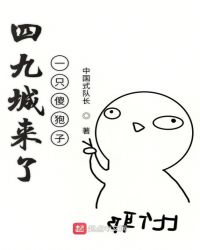 四九城来了一只傻狍子章节列表