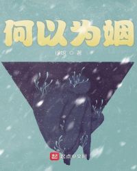 何以为姻章节列表