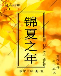 锦夏之年章节列表