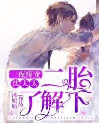 一夜疼宠：沈太太，二胎了解下章节列表