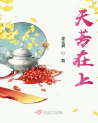 天芳在上章节列表