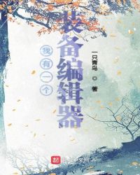 我有一个装备编辑器章节列表