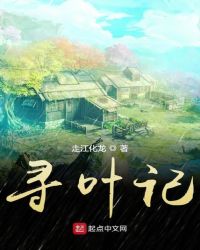 寻叶记章节列表