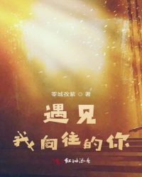 遇见我向往的你章节列表