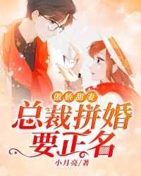 傲娇甜妻：总裁拼婚要正名章节列表
