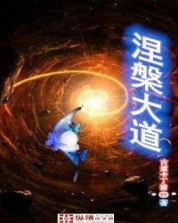 涅槃大道章节列表