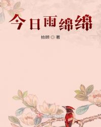 今日雨绵绵章节列表