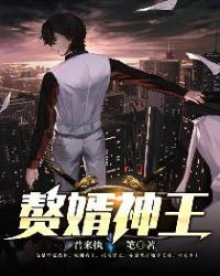 赘婿神王章节列表