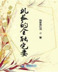 机长的全能宅妻章节列表