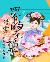 清穿四爷的老福晋章节列表