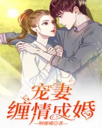 宠妻缠情成婚章节列表