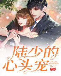 陆少的心头宠章节列表