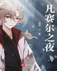 凡赛尔之夜章节列表