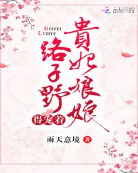 贵妃娘娘路子野得宠着章节列表