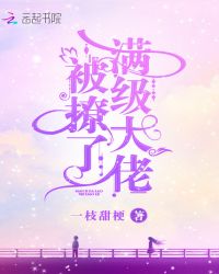 满级大佬被撩了章节列表