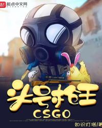 头号枪王章节列表