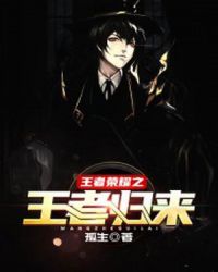 王者荣耀之王者归来章节列表