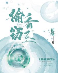 偷香窃玉章节列表